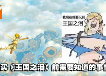 《The Legend of Zelda: Tears of the Kingdom》买前须知！林克可以飞天遁地啦！