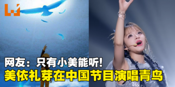 美依礼芽在中国节目演唱《火影忍者》主题曲「青鸟」！网友：只有小美能听！