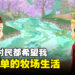 《牧场物语 Welcome！美丽人生》评测！一个全村民都希望我快点脱单的牧场生活！