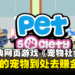 【返老玩童】童年经典网页游戏《Pet Society》!带着你的宠物到处去赚金币!