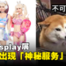网友爆台湾Cosplay展出现「7,500元神秘服务」！网友：相比起來成人展真保守！