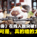 缝合怪游戏《幻兽帕鲁》同时在线人数突破100万！Steam极度好评但社群评价两极化