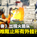 《幻兽帕鲁》出现火箭队?强抓他人帕鲁还在原主人面前杀掉!