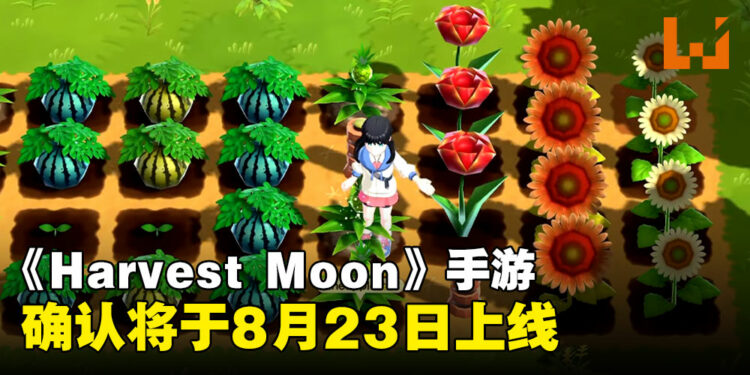 农场模拟手游《Harvest Moon: Home Sweet Home》确定于8月23日推出！