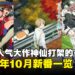 2024年71部10月新番盘点:一口气带你看完神仙打架的一季!