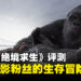 《金刚:绝境求生》评测:一款专为电影粉丝打造的末日生存游戏!