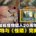 数码暴龙机COLOR怪物猎人20周年纪念版评测：虚拟宠物邂逅《怪物猎人》的精彩碰撞！