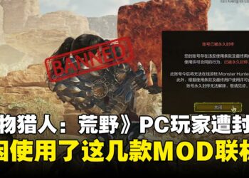 MOD惹祸？《怪物猎人：荒野》玩家因使用多个MOD遭永久封号，从此联机变单机！