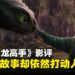 《新·驯龙高手》影评:从动画到真人,依旧不变的情感温度!