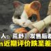 《怪物猎人:荒野》玩家热度骤降,Steam平台近期评价跌至差评如潮!