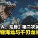 《怪物猎人:荒野》第二次免费更新内容释出,海龙、千刃龙回归并新增武器外观功能!