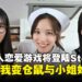 重生之我变仓鼠与小姐姐同居!真人恋爱模拟游戏《Sweet Hamster Days》即将登陆Steam