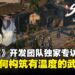 【TGS25】《逆水寒》开发团队独家专访:从东方武侠到全球江湖,构筑有温度的武侠世界!