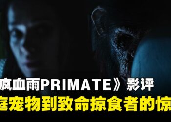 《猩疯血雨》影评：从家庭宠物到致命掠食者的心理惊悚