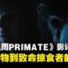 《猩疯血雨》影评:从家庭宠物到致命掠食者的心理惊悚
