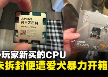 国外玩家新买的AMD Ryzen 7 7700X尚未拆封便遭爱犬暴力开箱