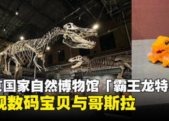 暴龙兽也是龙！北京国家自然博物馆「霸王龙特展」惊现数码宝贝与哥斯拉