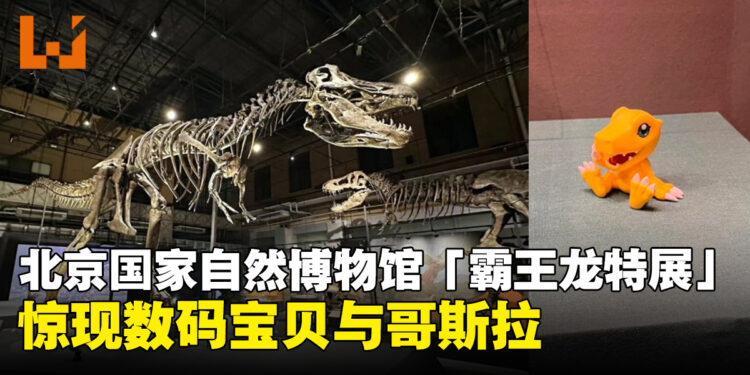 暴龙兽也是龙!北京国家自然博物馆「霸王龙特展」惊现数码宝贝与哥斯拉