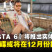 传闻《GTA 6》可能在12月份推出带有实体光碟的实体版游戏