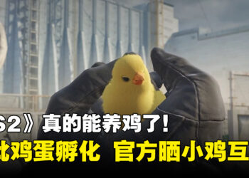《CS2》真的能养鸡了！首批鸡蛋陆续孵化，官方晒出摸小鸡动画